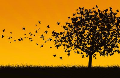 14 - O dia não pode acabar