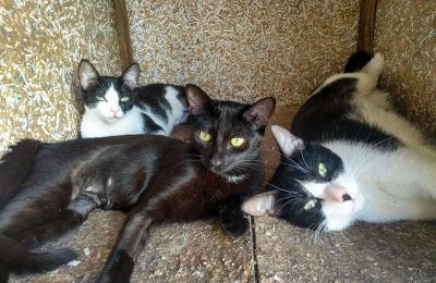 57 - Aquela que me deu à luz