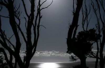 71 - Meus fantasmas, meus medos